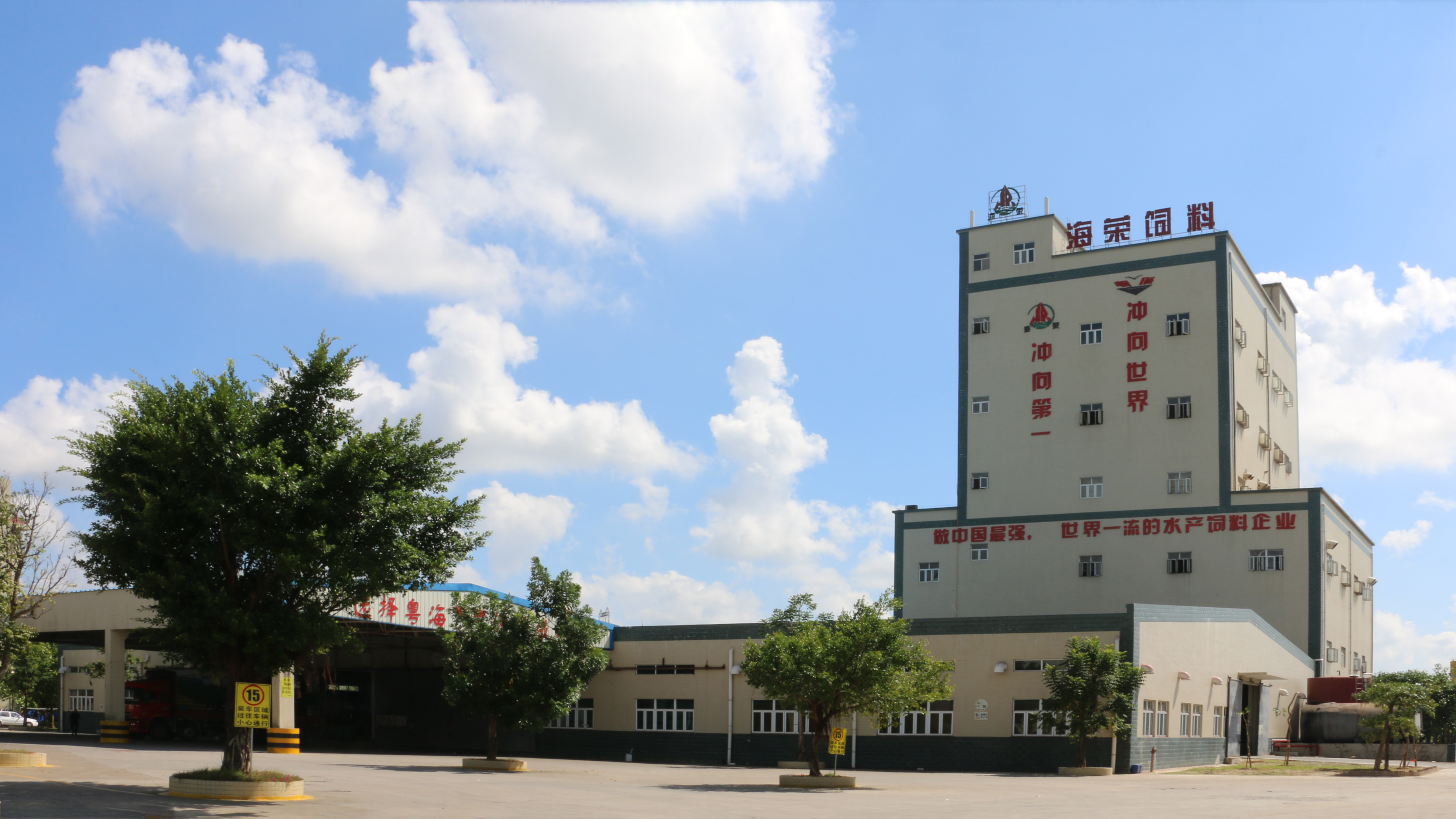 3-210523141626235 3-210523141626235