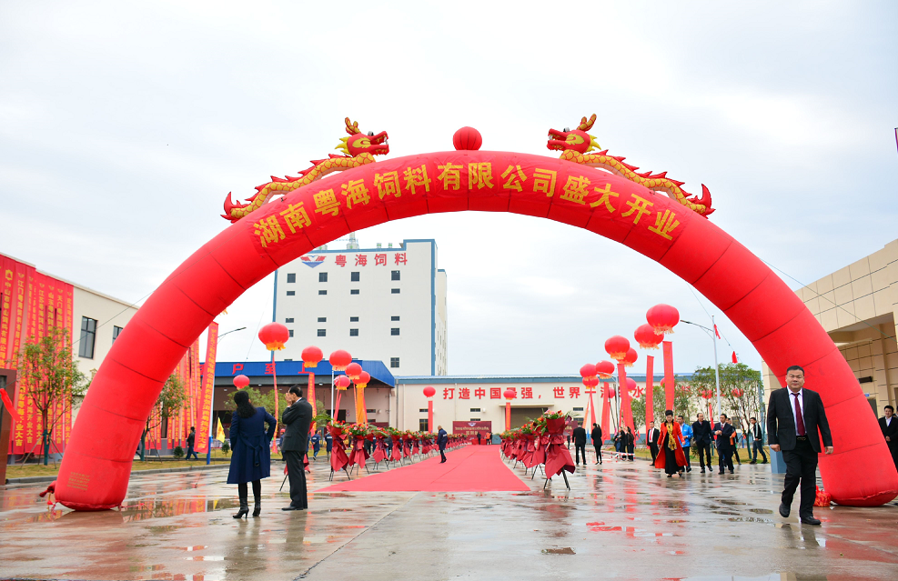 3-2105231439254T 3-2105231439254T