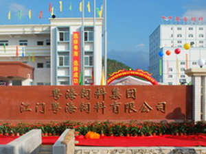 company_pic company_pic